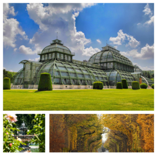 Naturerlebnisse in Wien – 1 Tag