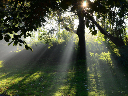 Naturerlebnisse in Wien – 1 Tag - Image 2